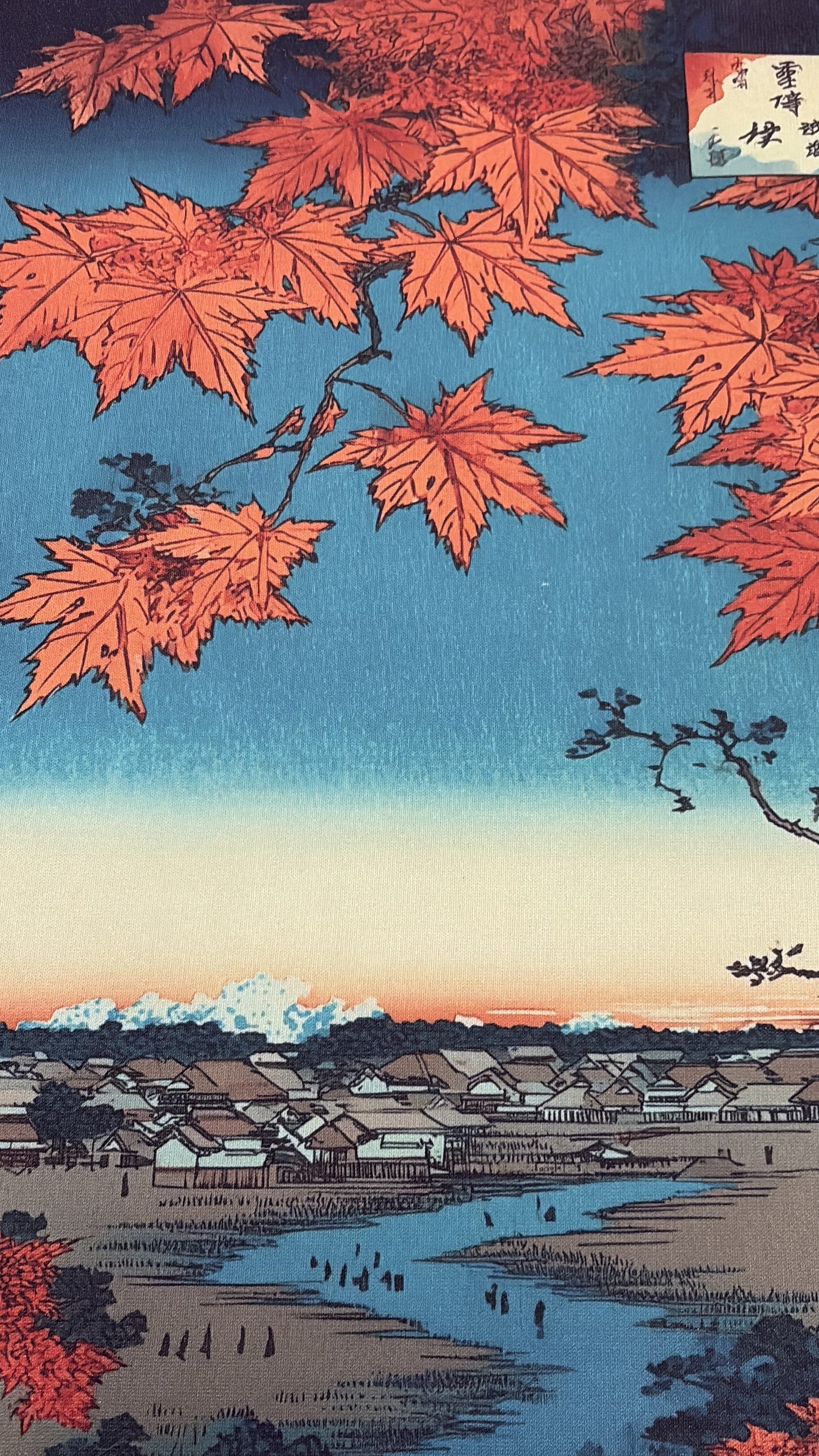 Personalizzazione Pannello +8€