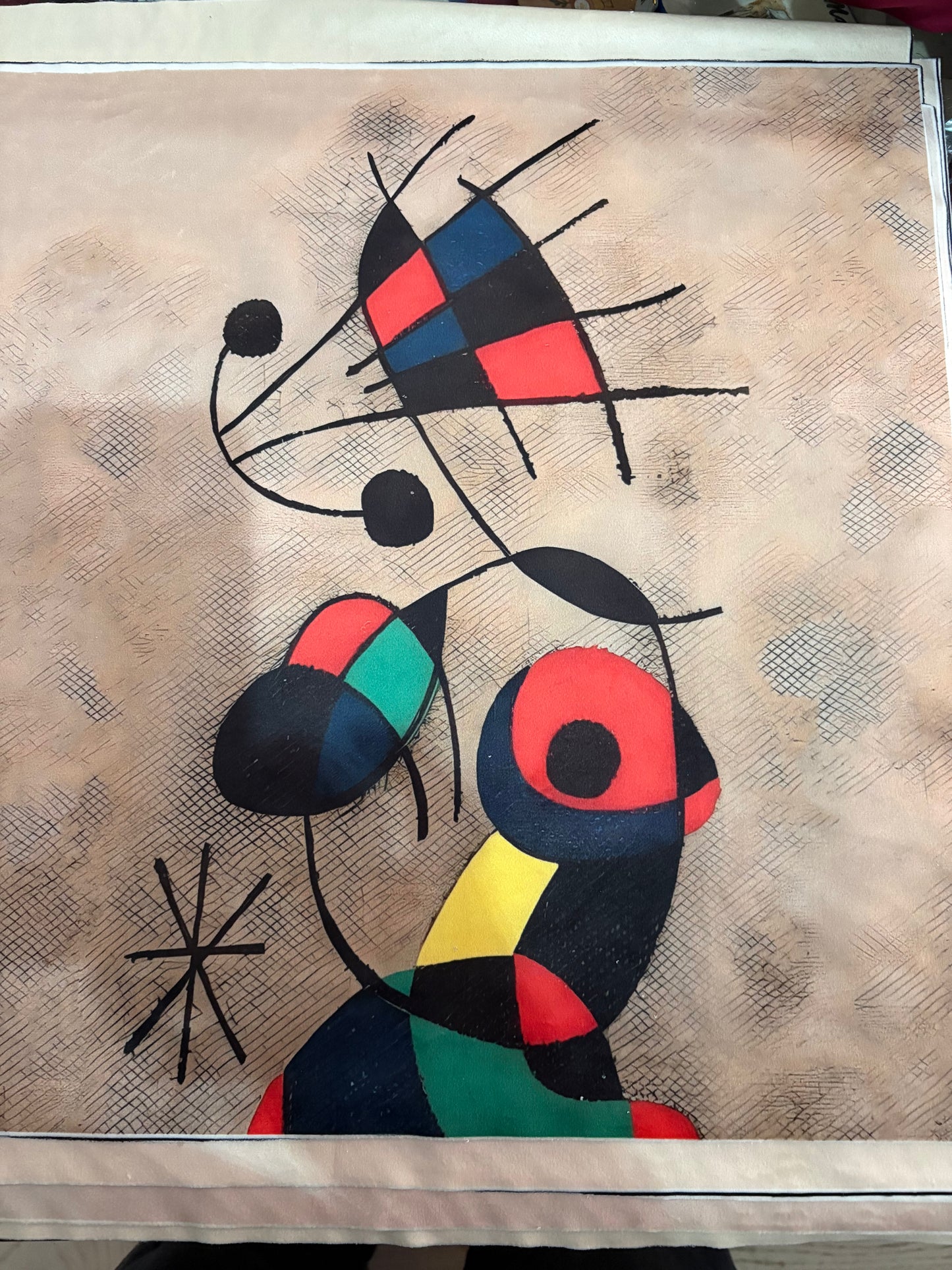 A spasso con miro’ maglietta grigia ring alto