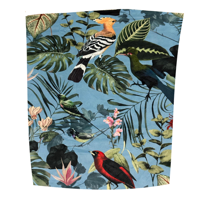 Tropical Birds